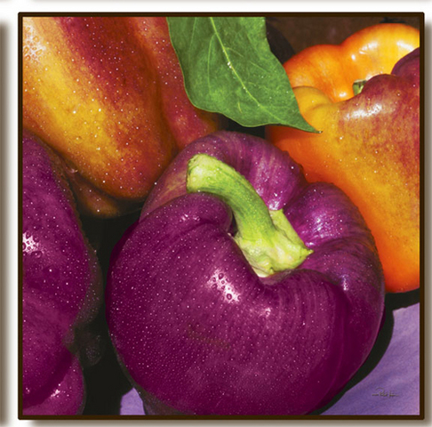 Purple_bell_peppers